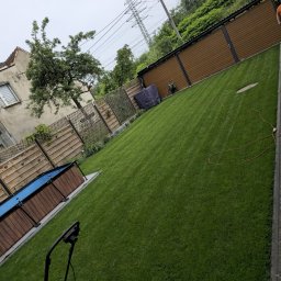 Trawa z rolki Ruda Śląska 1