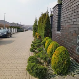 Ogród przydomowy z równo przyciętymi krzewami i tujami, ozdobiony kamieniami. W tle mur z cegły i chodnik z kostki brukowej. Widok na ulicę osiedla.