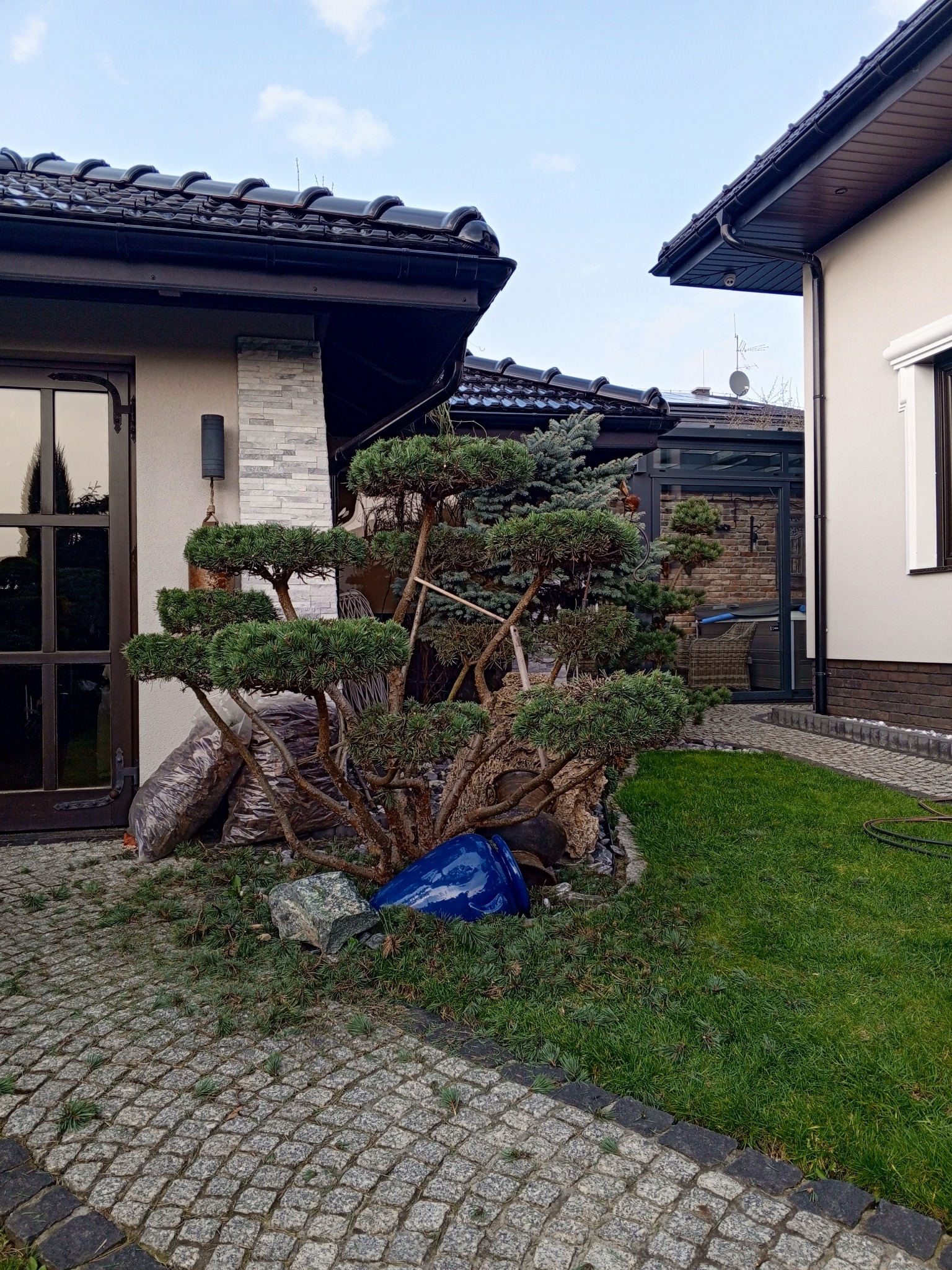 Formowane drzewko iglaste w ogrodzie, obok worki z korą, niebieski pojemnik i kamień. Tło: budynek z brązową stolarką okienną i dachem z dachówki.
