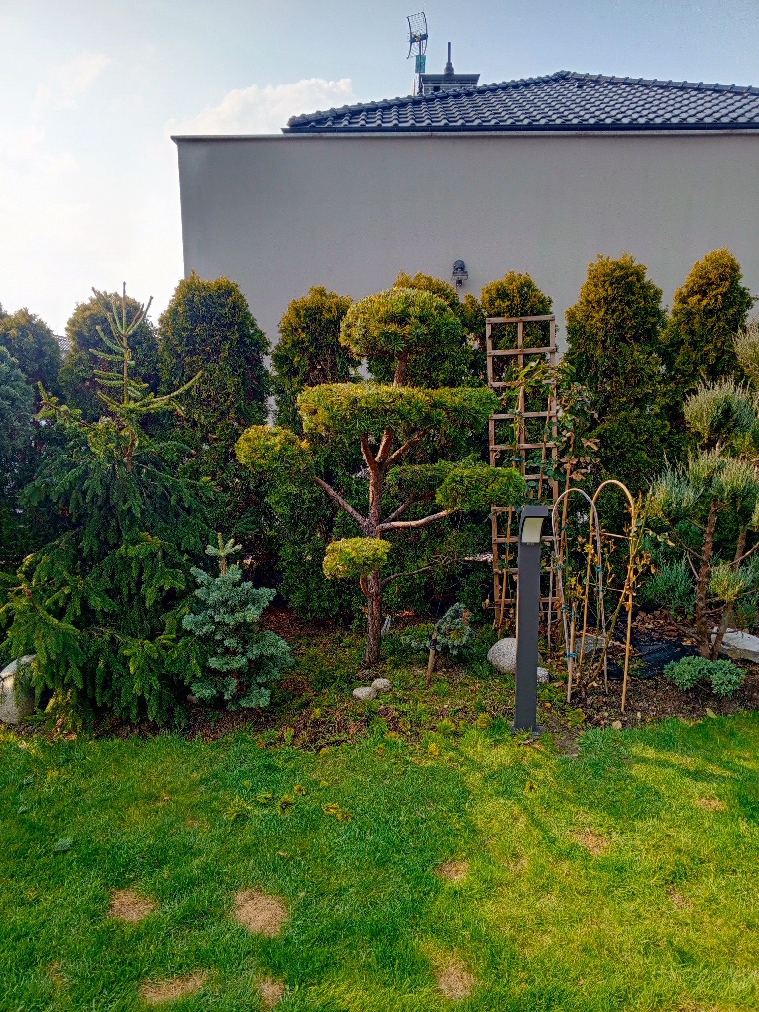 Ogród z równo przystrzyżonymi drzewami iglastymi, ozdobnymi podporami dla roślin pnących i oświetleniem, na tle białego budynku z ciemnym dachem.