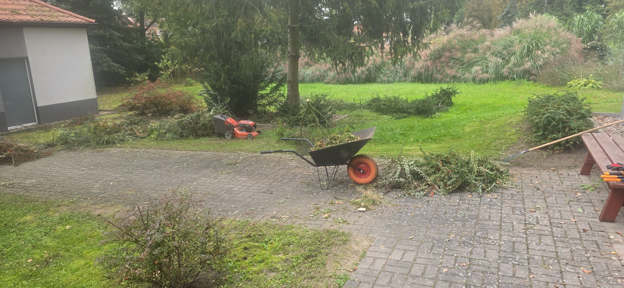 Taczka wypełniona gałęziami na tle zielonego trawnika i sprzętu ogrodniczego, sugerująca porządkowanie ogrodu po przycinaniu drzew i krzewów.