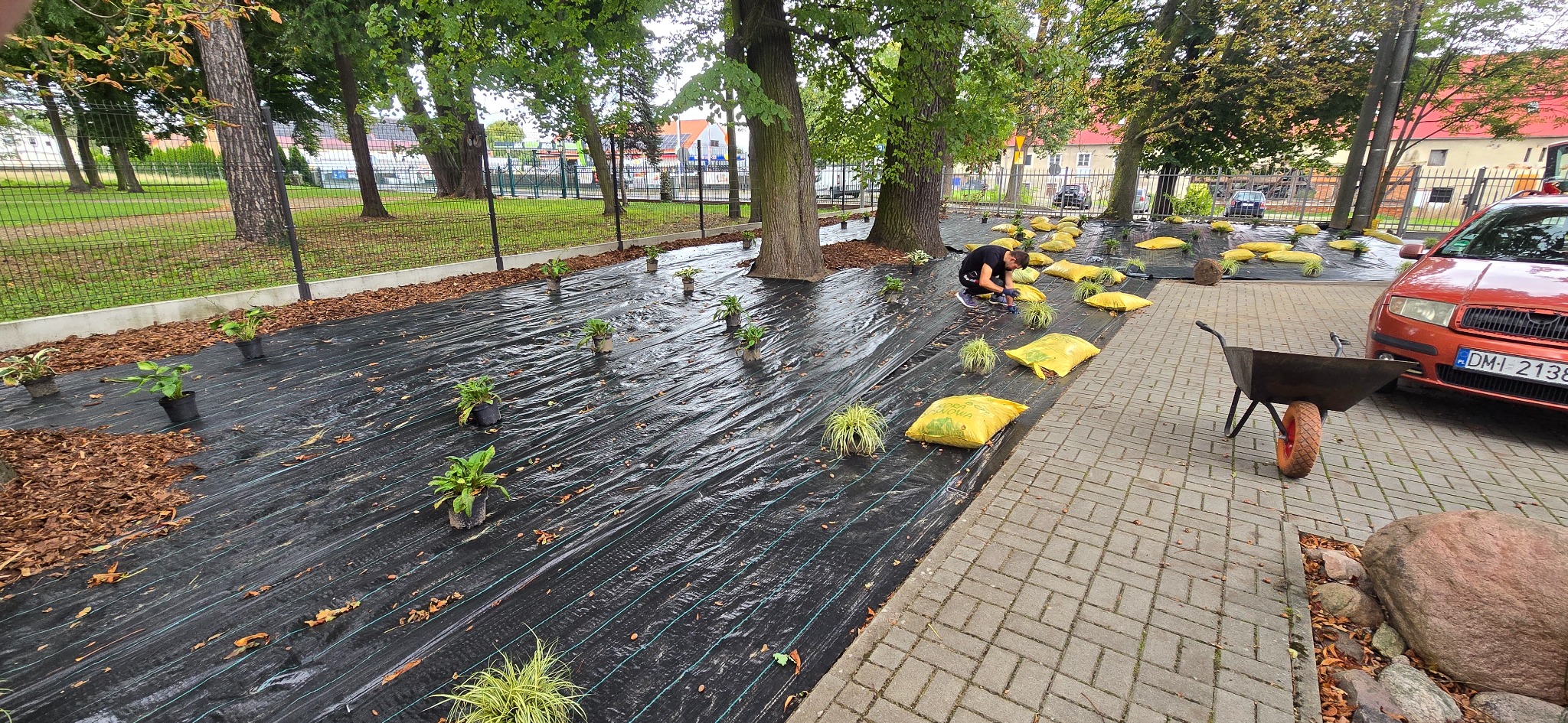 Układanie agrowłókniny i sadzenie roślin na rabacie. Widoczny mężczyzna w trakcie pracy z wiertarką i worki z korą. W tle drzewa i budynki.