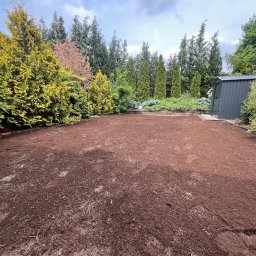 Koszenie trawy Nowe Miasteczko 4