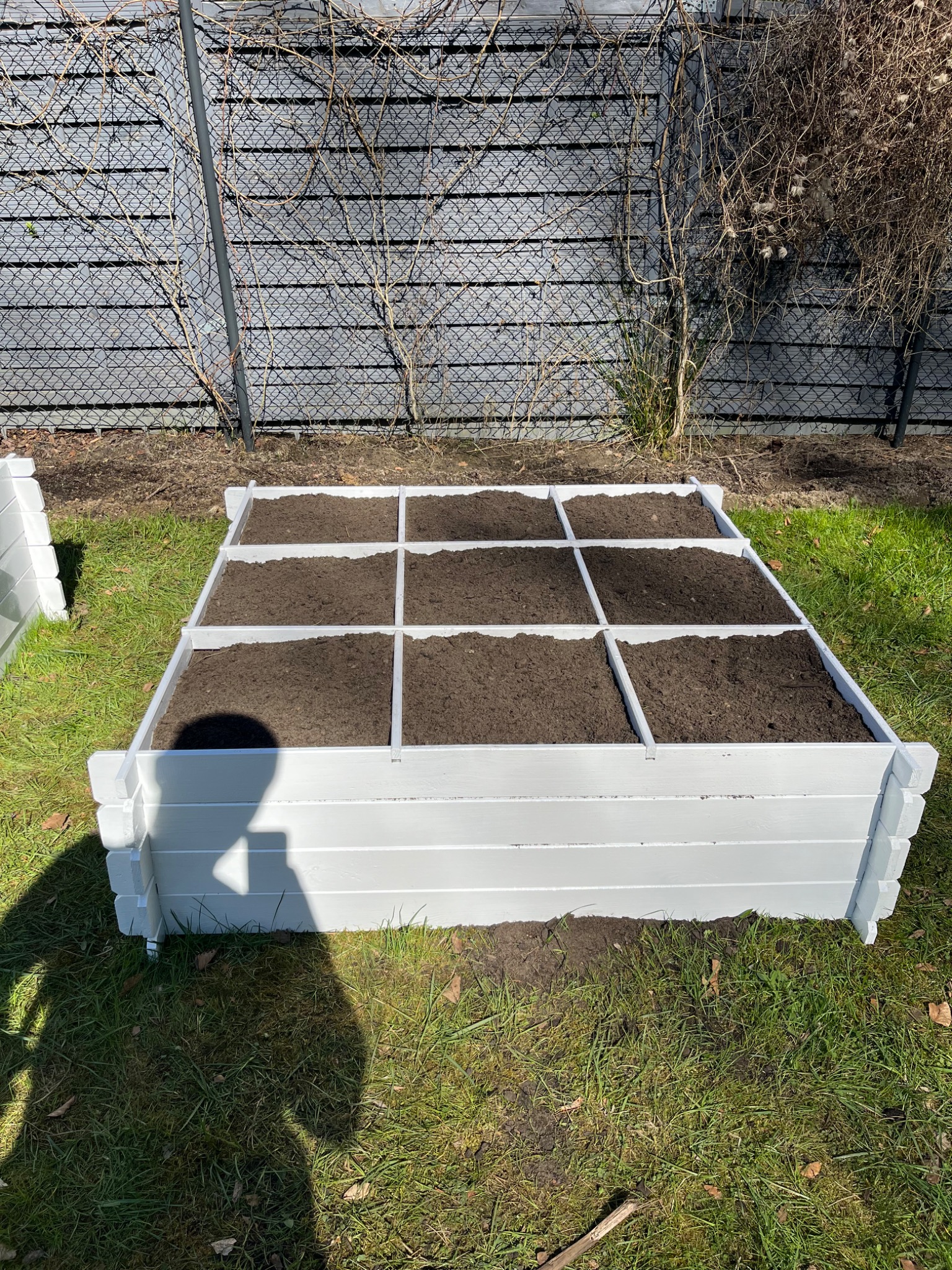 Podwyższona grządka warzywna z białego drewna, podzielona na dziewięć sekcji wypełnionych ziemią, na trawniku, z siatką ogrodzeniową w tle.