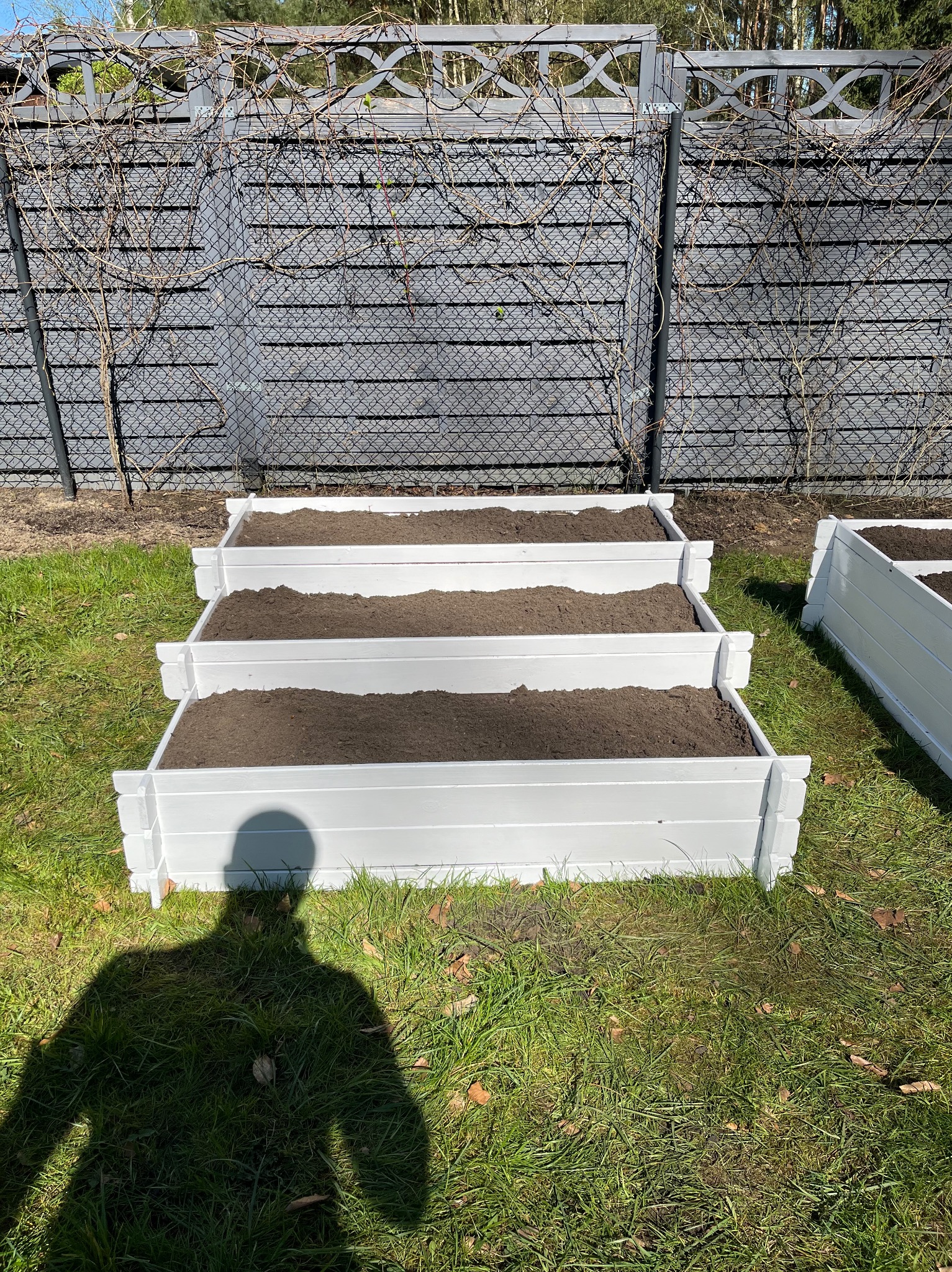 Trzystopniowa, biała rabata z ziemią, na trawniku, z cieniem osoby. W tle szare ogrodzenie z dekoracyjnym wzorem i pnącza.