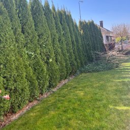 MIR-GUM MIROSŁAW WEBER - Trawniki z Rolki Poznań