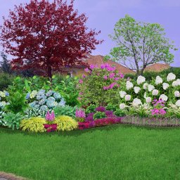 Koszenie trawy Olsztyn 1