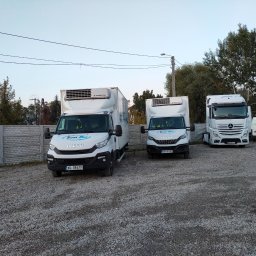 Trans-Bus Konrad Koza - Flota białych pojazdów dostawczych Iveco i Mercedes z nadrukiem 'Trans-Bus' na żwirowym placu, w tle betonowe ogrodzenie i drzewa pod błękitnym niebem.