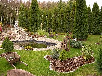 Wszelkie prace ogrodnicze i porządkowe