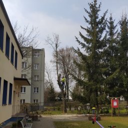 Wujo Sebastian wujek - Arborysta w żółtej kamizelce przycina drzewo na tle placu zabaw i budynków. Widoczne ścięte gałęzie. Kadr z dołu, pochmurne niebo.