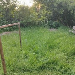 Wujo Sebastian wujek - Zarośnięty trawnik z drewnianą konstrukcją i ławką w tle, częściowo skoszona trawa. Widoczne drzewa i krzewy. Nierównomierne oświetlenie.