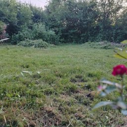 Układanie kostki brukowej Opoczno 4