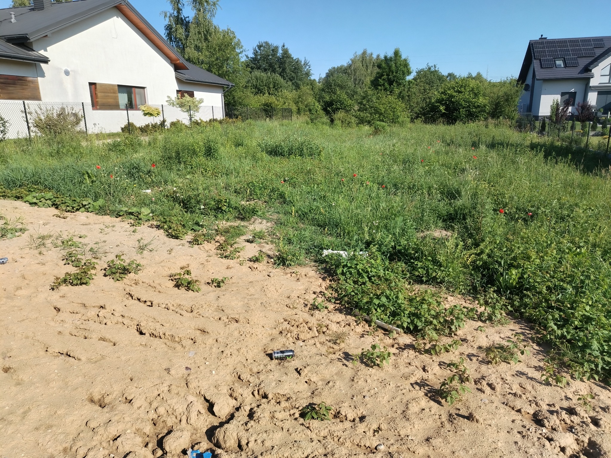 Zaniedbana działka z wysoką trawą i chwastami, częściowo przygotowana pod prace ziemne. W tle domy jednorodzinne i zieleń. Widoczna puszka po napoju.