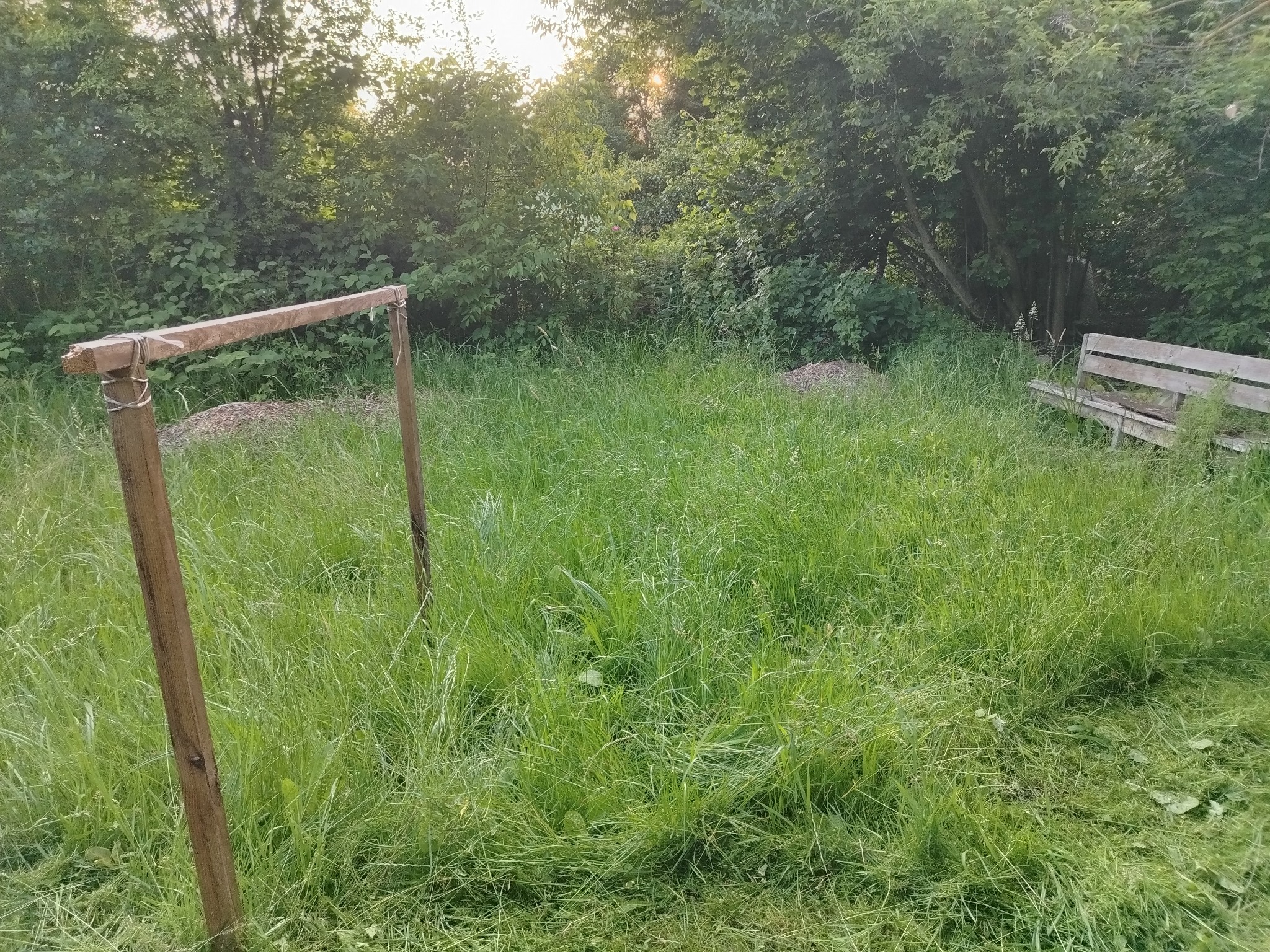 Zarośnięty trawnik z drewnianą konstrukcją i ławką w tle, częściowo skoszona trawa. Widoczne drzewa i krzewy. Nierównomierne oświetlenie.