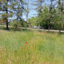 Koszenie trawy Wołomin 2