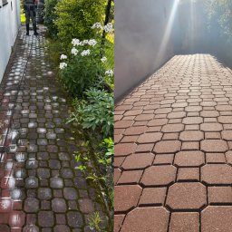 Damian Ściborski Bruk Clean - Porównanie kostki brukowej przed i po czyszczeniu: zarośnięta mchem i czysta, w odcieniach czerwieni, z widocznym fragmentem węża ciśnieniowego i roślinności.