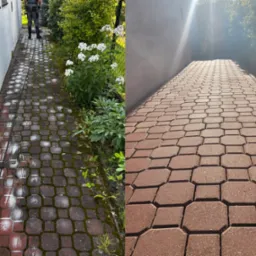 Porównanie kostki brukowej przed i po czyszczeniu: zarośnięta mchem i czysta, w odcieniach czerwieni, z widocznym fragmentem węża ciśnieniowego i roślinności.