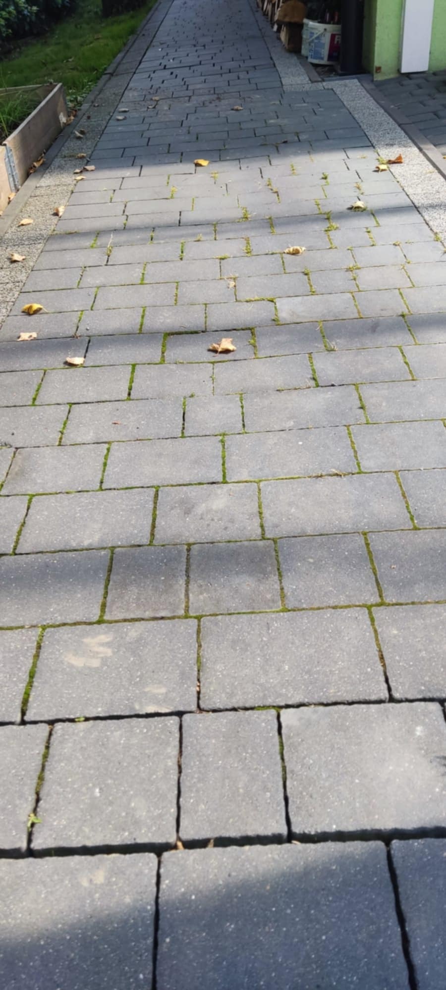 Szara kostka brukowa z mchem w szczelinach, kilka opadłych liści na powierzchni. Ujęcie z perspektywy chodnika w kierunku budynku.