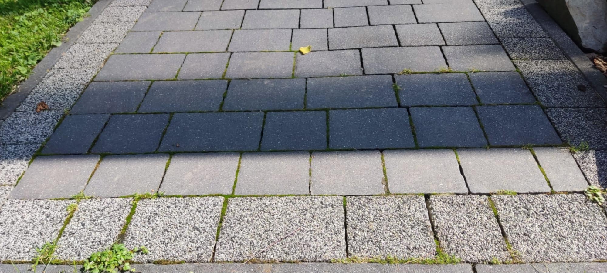 Szara kostka brukowa z zielonym mchem w szczelinach i żółtym liściem. Obrzeża z drobnego kruszywa. Widok z góry, oświetlenie naturalne.