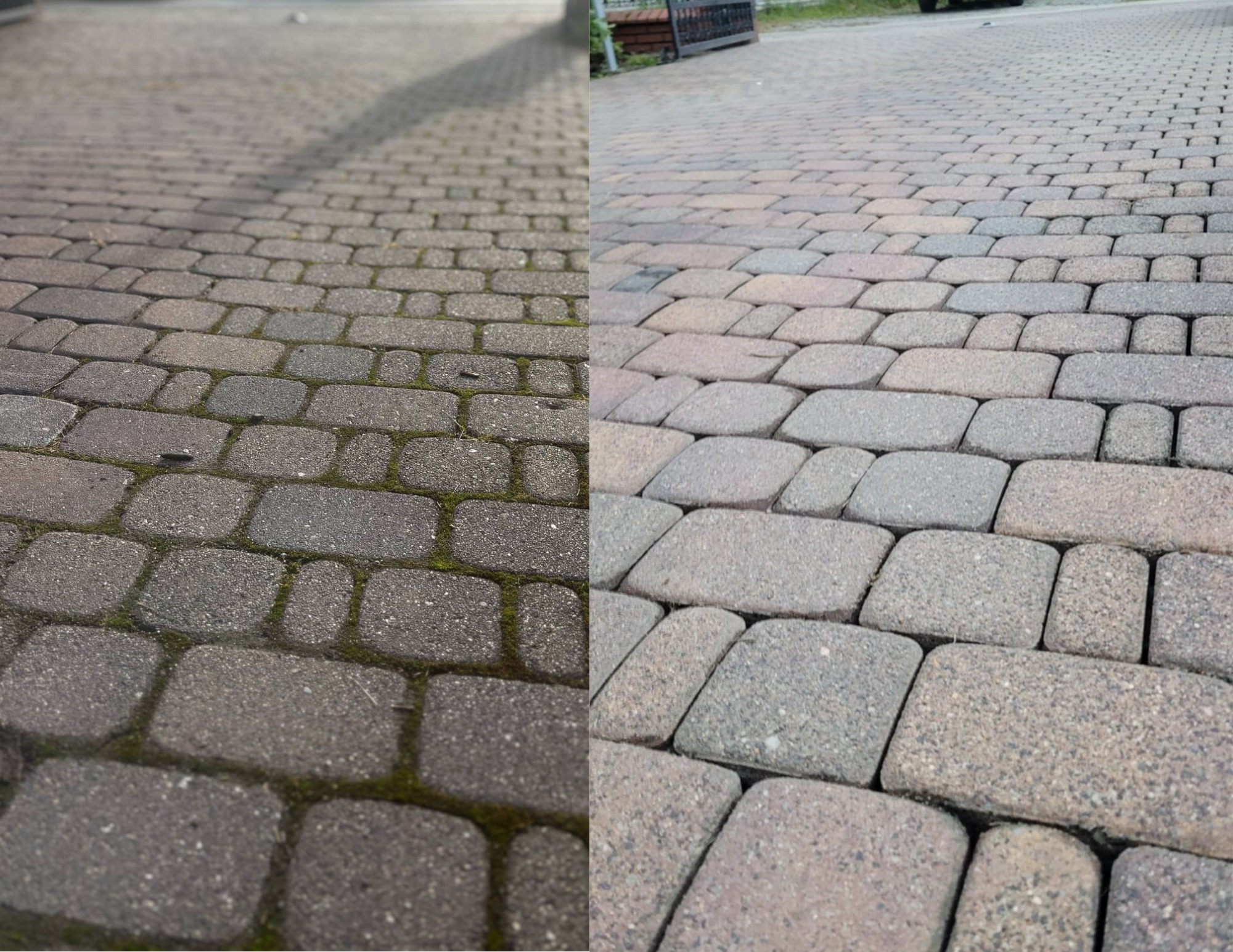 Kostka brukowa: połowa wyczyszczona, połowa z mchem. Porównanie efektu mycia kostki, widoczne różnice w kolorze i czystości fug.