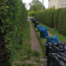 Wycinka drzew Chełm Śląski 2