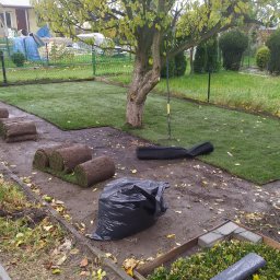 Wycinka drzew Chełm Śląski 4