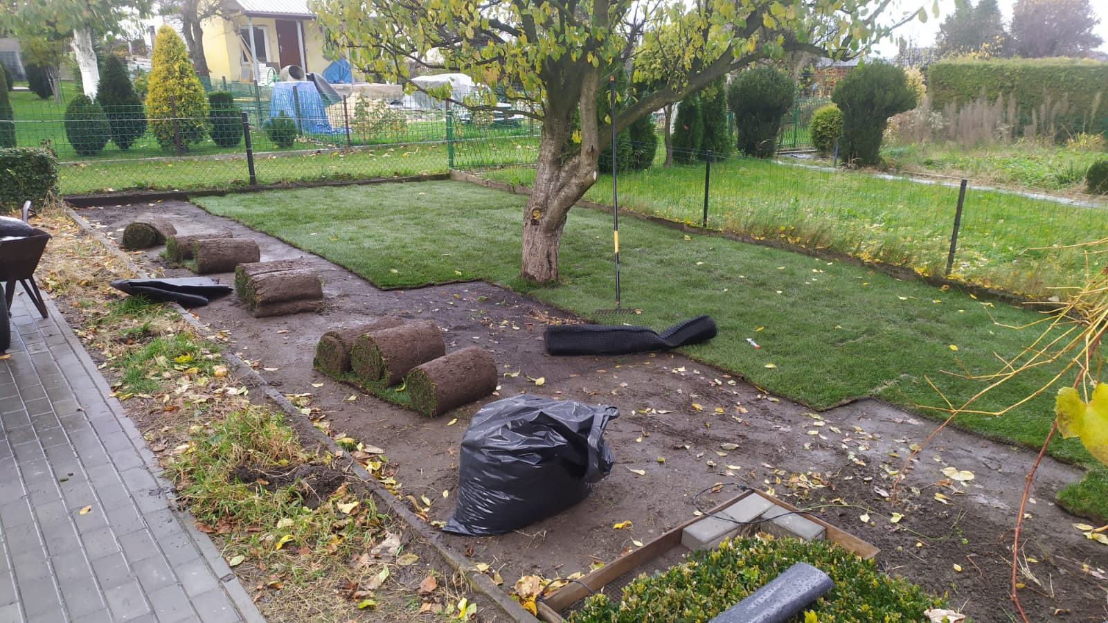 Układanie trawy z rolki w ogrodzie: fragmenty ułożonej trawy, zwinięte rolki, grabie i czarny worek na ziemię. Widoczne drzewo i ogrodzenie.