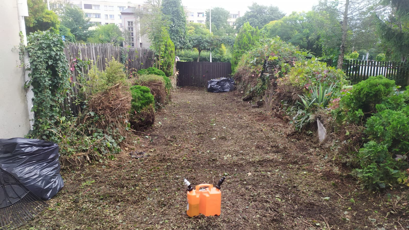 Oczyszczony teren ogrodu z resztkami roślinnymi, widoczne worki na śmieci i kanister, sugerujące prace porządkowe po wycince lub pielęgnacji.