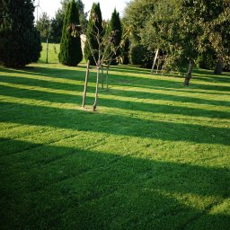 Koszenie trawy Damnica 3