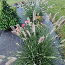 Koszenie trawy Damnica 1