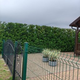 Michał kawka - Zadbany ogród w Damnicy z zielonym żywopłotem, metalowym ogrodzeniem i dwoma donicami z roślinami. Widoczny fragment drewnianej altany.