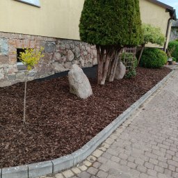 Michał kawka - Aranżacja ogrodu z tujami, kamieniami i korą, obrzeża z kostki. Żółta elewacja domu w tle. Widok na rabatę z bliska, kostka brukowa na pierwszym planie.