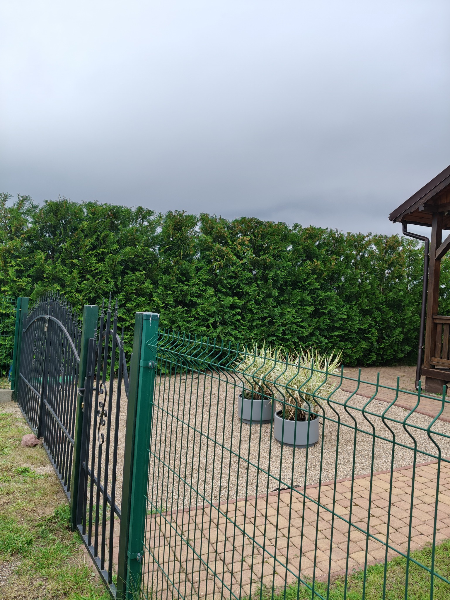 Zadbany ogród w Damnicy z zielonym żywopłotem, metalowym ogrodzeniem i dwoma donicami z roślinami. Widoczny fragment drewnianej altany.
