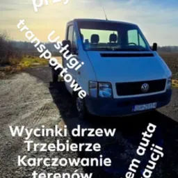 Wycinki drzew transport sprzatanie I oproznianie domów i mieszkań i całych posesji