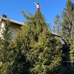 ToSięPrzytnie - Prace Ogrodnicze Wrocław