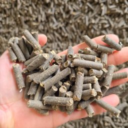 Agrinest - Pellet Słonecznikowy Szadek