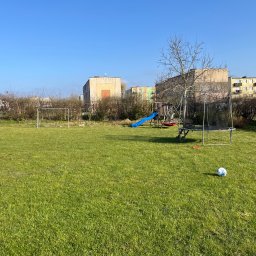 Wycinka drzew Słupsk 1