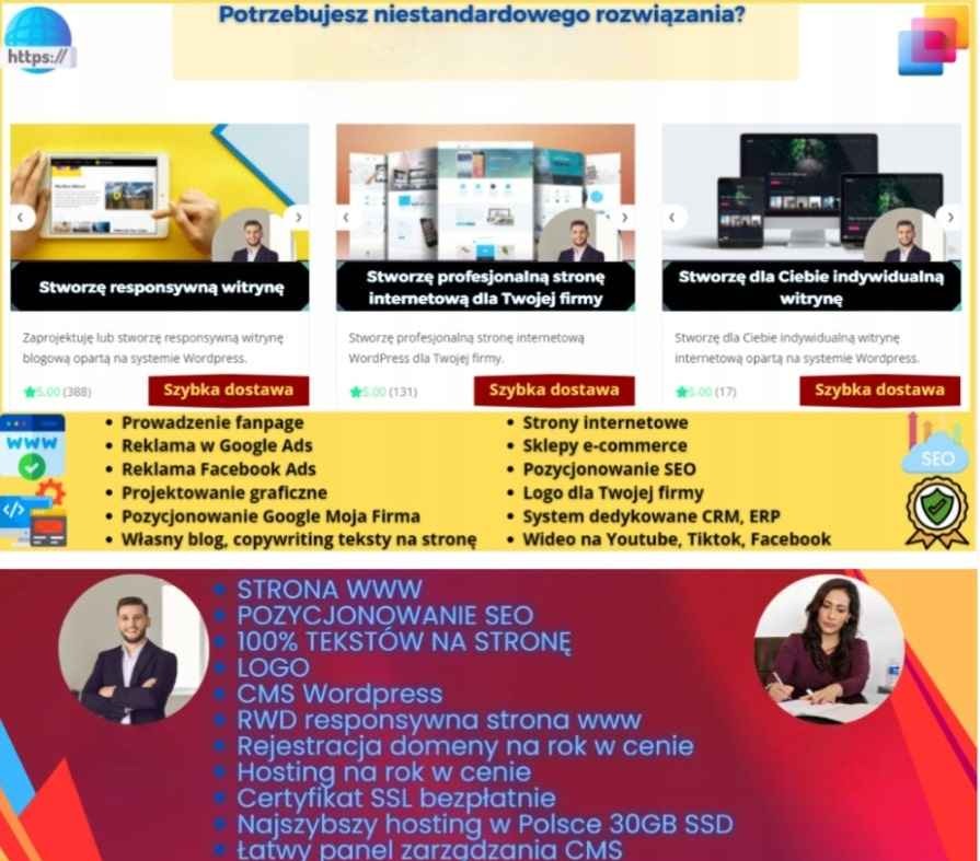 Oferta usług internetowych: responsywne strony, sklepy e-commerce, pozycjonowanie SEO, logo, hosting i inne. Szybka dostawa, CMS Wordpress, certyfikat SSL.