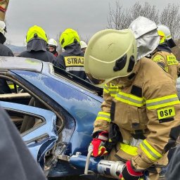 Konrad wypych - Petsitter Duszniki-Zdrój