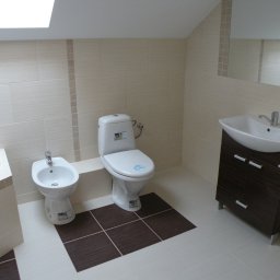 Glazurnik Baranów 3