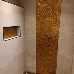 Glazurnik Baranów 2