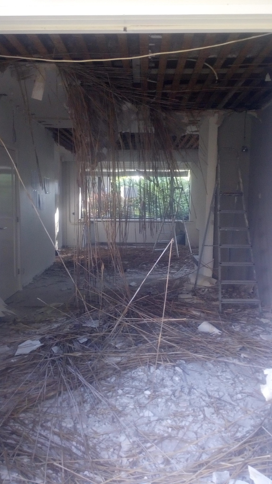 Wnętrze w trakcie demontażu: odsłonięta konstrukcja sufitu, gruz na podłodze, drabina oparta o ścianę. Widok na okno z zielenią w tle.