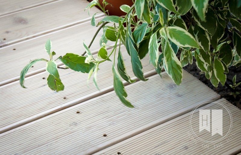 Jasny taras drewniany z roślinami w doniczce, widok z góry, deski ułożone poziomo z widocznymi wkrętami, stonowana kolorystyka.