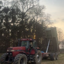 Wycinka drzew Kożuchów 4