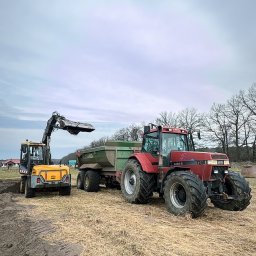 Wycinka drzew Kożuchów 1