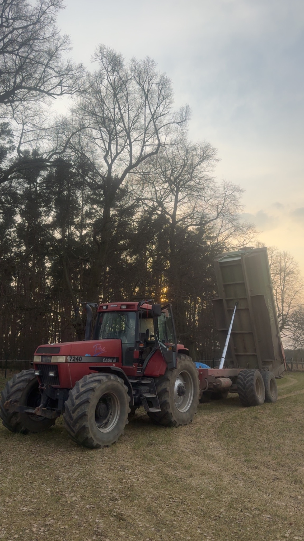 Czerwony traktor Case 7240 z podniesioną przyczepą na polu, w tle drzewa i zachodzące słońce. Widoczne duże koła i elementy hydrauliczne przyczepy.