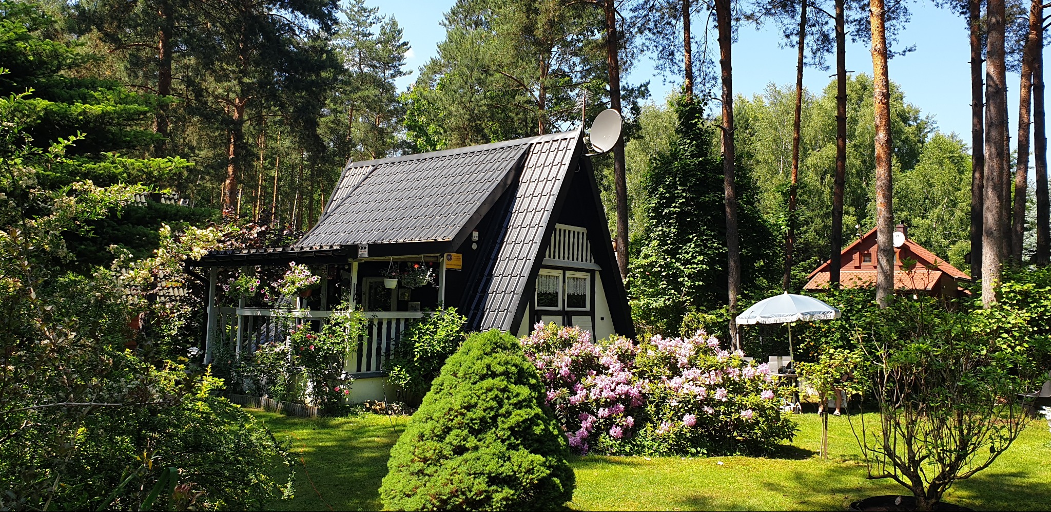 Urokliwy, mały domek w stylu A-frame z ciemną dachówką, otoczony bujną zielenią i kwitnącymi rododendronami. Na dachu widoczna antena satelitarna.