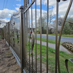 Usługi Spawalnicze Krzysztof Skorniak - Kute ogrodzenie posesji z dekoracyjnymi elementami w kształcie liści, widoczne z bliska, z ulicą i zielenią w tle. Metaloplastyka z efektem patyny.