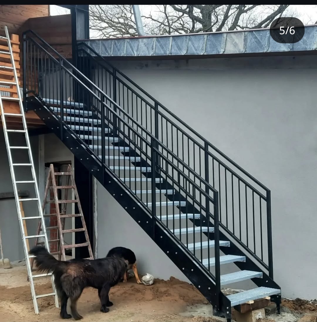 Zewnętrzne schody metalowe z czarną balustradą i ażurowymi stopniami. Obok stoją drabiny, a u dołu widać dwa psy. Schody prowadzą do budynku.