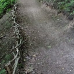 Pielęgnacja ogrodów Orneta 1